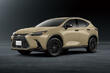 Lexus NX Overtrail: modification for light off-road photo 3
