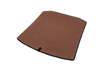 Volkswagen Lavida/e-Lavida 2019- Trunk Mat EVA Brown photo 2