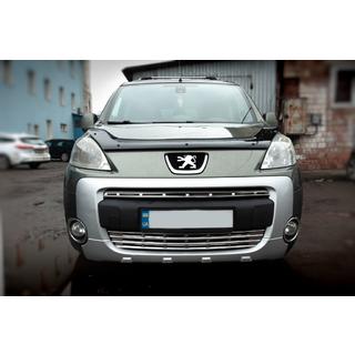 Grille Covers (2 pcs, Stainless Steel) photo 1