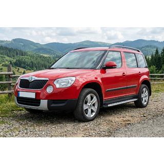 Side Steps Shining V1 (2 pcs, Aluminum) Skoda Yeti 2009-2017 photo 1