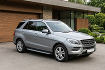 Mercedes GLE/ML class W166 2011-2018 Side Steps Shining V1 (2 pcs, Aluminum) photo 1