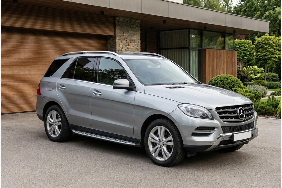 Mercedes GLE/ML class W166 2011-2018 Side Steps Shining V1 (2 pcs, Aluminum) Image