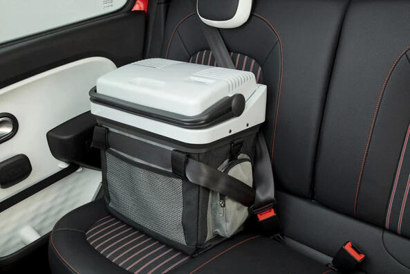 How to choose a car refrigerator: important criteria and recommendations Photo 2