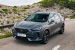 Review of the Cupra Formentor crossover photo 1