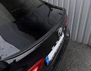 Universal Rubber Spoiler Carmos (120 cm, Black) photo 6