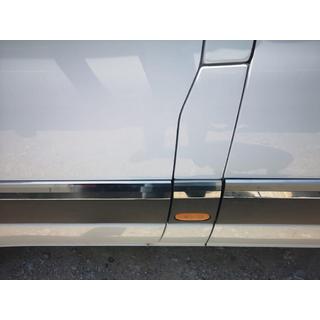 Stainless Steel Door Moldings (10 pcs, ExtraLong) photo 2