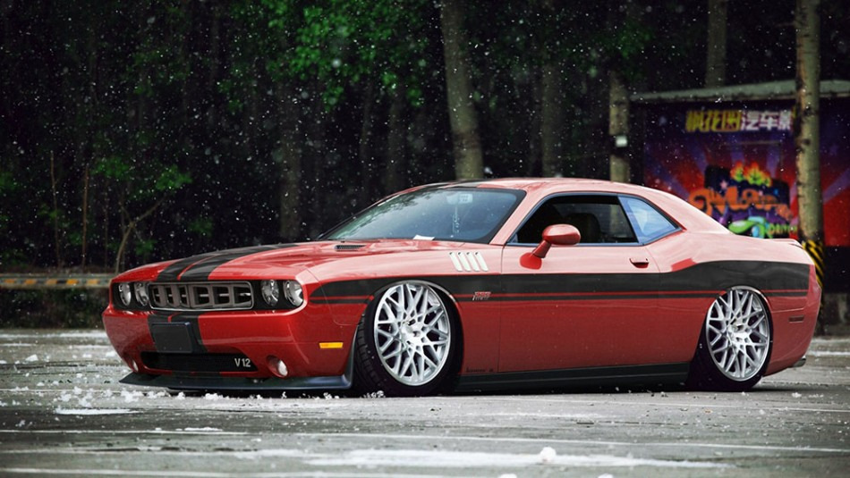 Poplar fluff: beautiful, but dangerous for your car