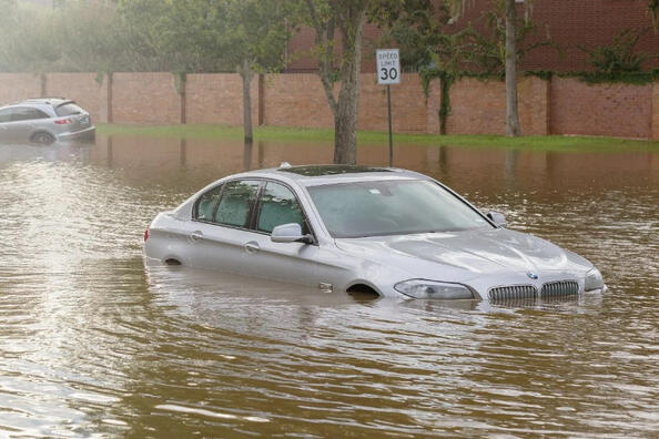 How to recognize a drowned person: check the car before buying
