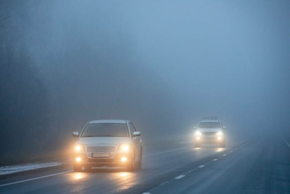 Why do you need fog lights?
