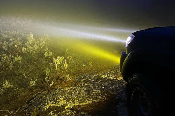 Which fog lights are better?