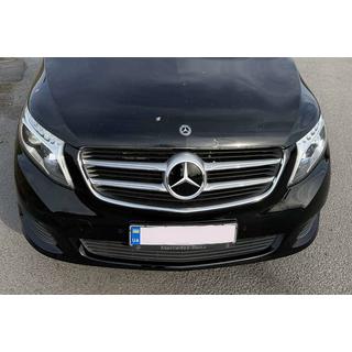 Front emblem under glass, chrome trim a2048806406 photo 2