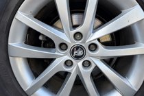 Skoda Wheel center caps 56/52mm sk5652 (4 pcs) photo 4