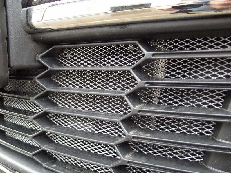 The mesh in the radiator grille: why is it needed