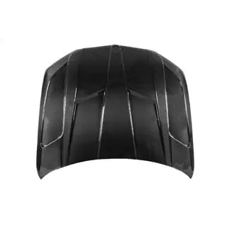 Carbon Hood V2 (G05/F95) photo 3
