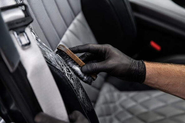 How to get rid of mold in the car interior?
