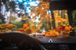 How to prepare your car for autumn photo 1