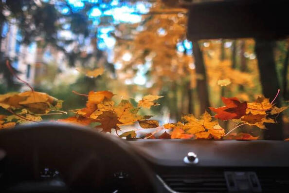 How to prepare your car for autumn