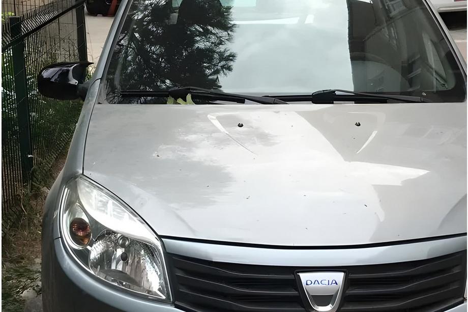 Dacia Logan I 2008-2012 Mirror Covers BMW-Style (2 pcs) Photo 2