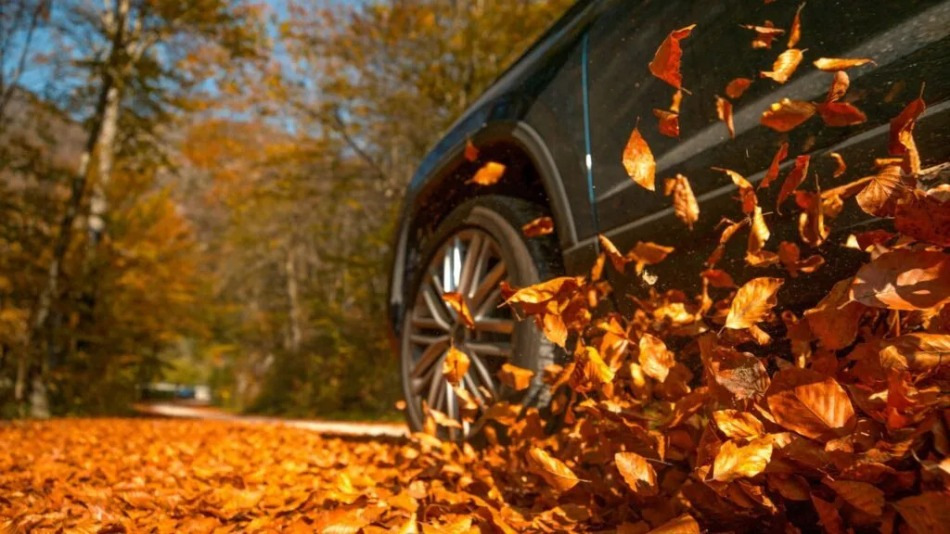 Five mistakes that can lead to an accident on the road in autumn