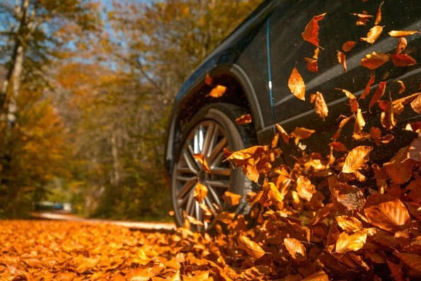 Five mistakes that can lead to an accident on the road in autumn Photo 1