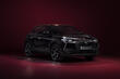 Review of high-tech crossover DS 3 Crossback photo 3