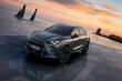Cupra Terramar 2024: review of the new crossover photo 1