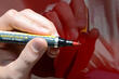 How to choose a pencil for tinting a car: tips photo 1