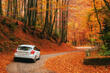 Preparing the car for cold weather: useful tips photo 1