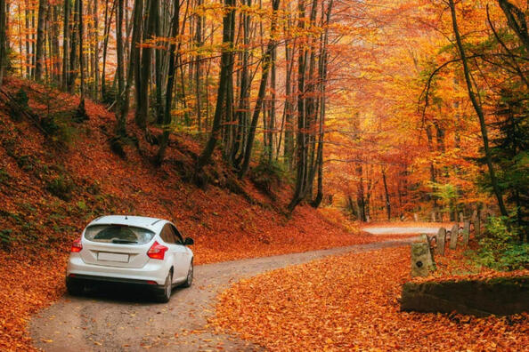 Preparing the car for cold weather: useful tips