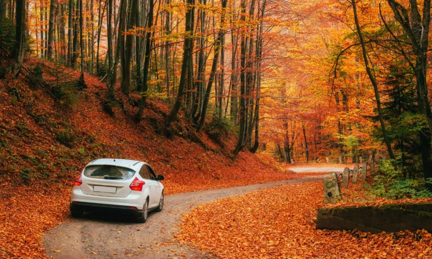 Preparing the car for cold weather: useful tips