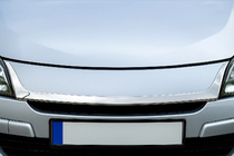 Renault Megane III 2009-2016 Grille Trim 2008-2011 (Stainless Steel) photo 1