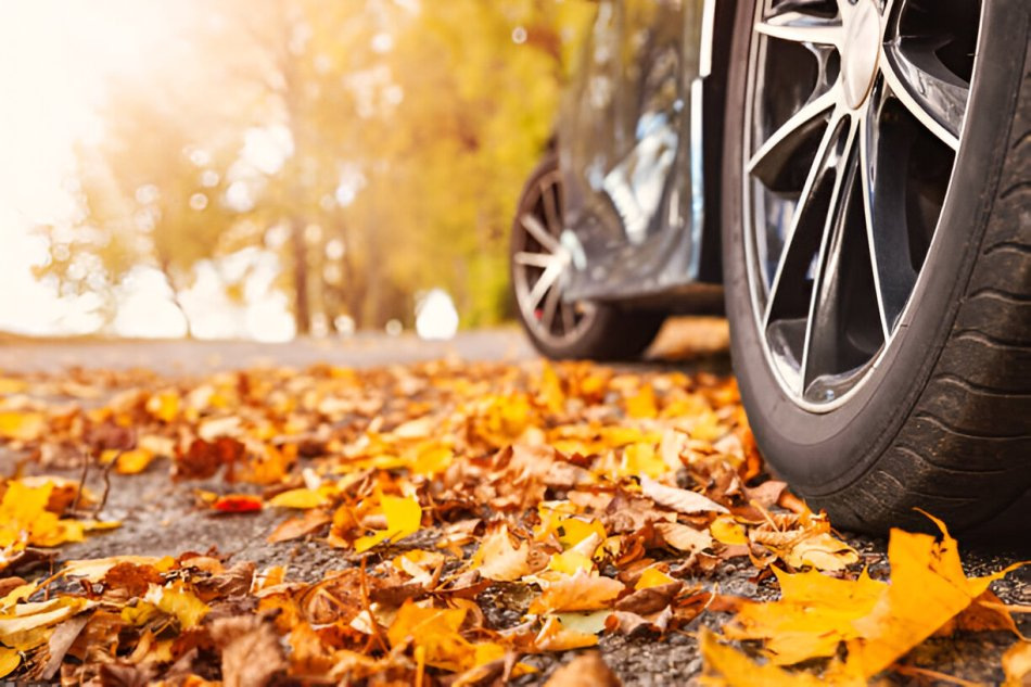 Which tires are best for fall?