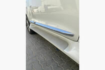 Lexus GX460 2009-2023 Side Steps (2 pcs, Aluminum) photo 13