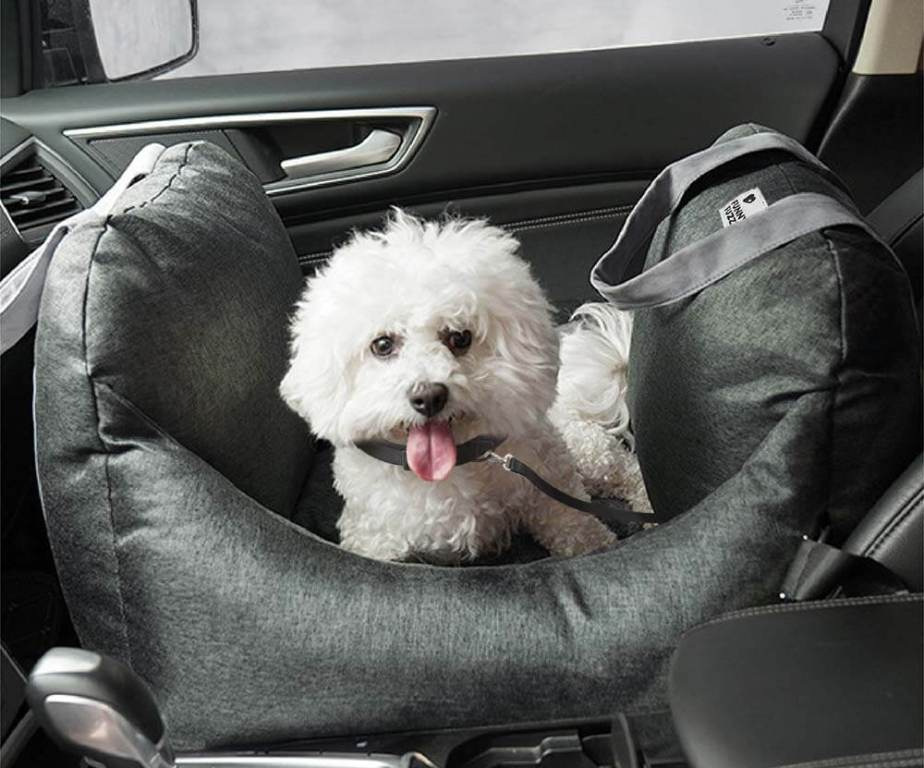Traveling with pets: how to make the trip enjoyable for your friend