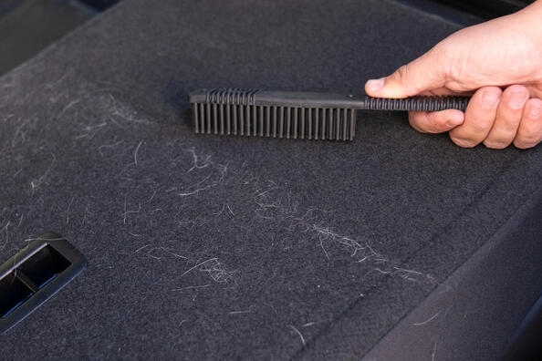 Life hacks for cleaning pet fur in the car