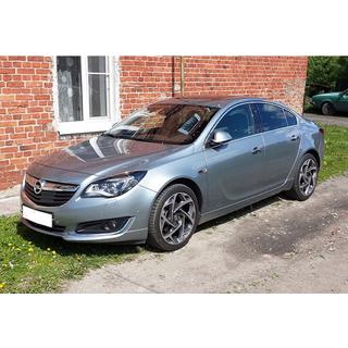 Front lip DPT (primed for painting) Opel Insignia 2008-2017 photo 2