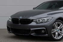 BMW 4 Series F32/F33/F36 2012-2020 Kidneys M-Look (Gloss Black) photo 2