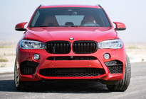 BMW X5 F15 2013-2018 Kidneys M-Look (Gloss Black) photo 1