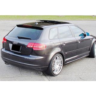 Spoiler DPT V-4 (Gloss Black) Audi A3 2003-2012 photo 4