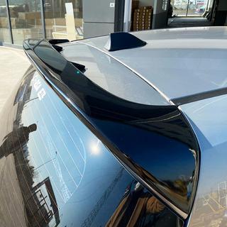 DPT V-1 Spoiler (Gloss Black) photo 3
