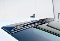 Skoda Superb 2015-2024 Rear Spoiler DPT V-1 (2015-2019, Gloss Black) photo 1
