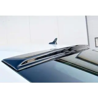 Rear Spoiler DPT V-1 (2015-2019, Gloss Black) photo 1