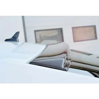Rear Spoiler DPT V-1 (2015-2019, Gloss Black) photo 2