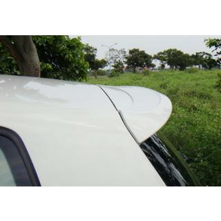 Spoiler DPT V-1 (HB, primed) photo 3