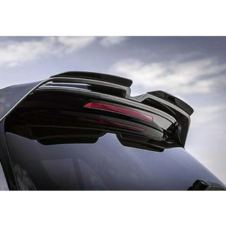 Spoiler DPT V-4 (HB, Gloss Black) Volkswagen Polo 2010-2017 photo 1