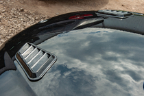 Universal Hood Covers DPT (2 pcs, Gloss Black) photo 16