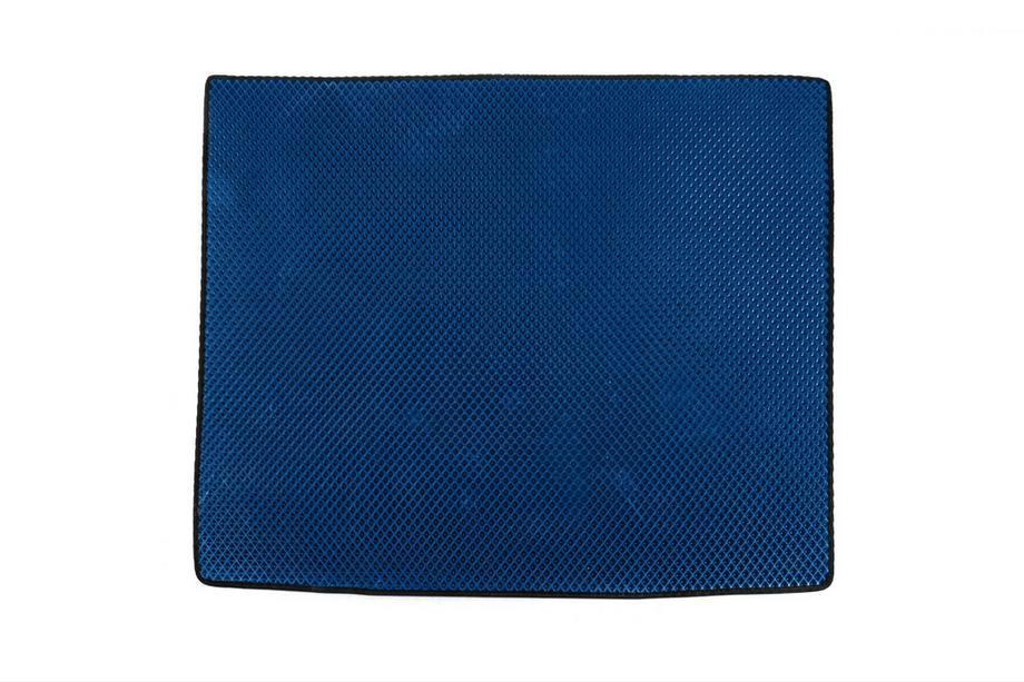 BMW iX (I20) 2022- EVA Trunk Mat (Blue) Image