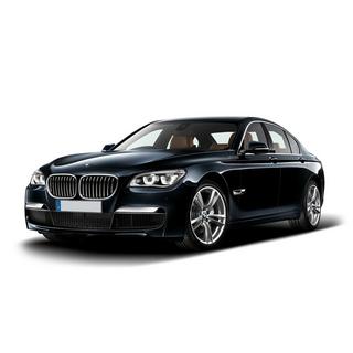 Kidney Grilles 1 Bar (Gloss Black with Chrome Trim) photo 1