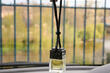 How to choose a fragrance for the car interior that won’t irritate? photo 1
