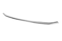 Ford Courier 2023- Front bumper protector trim (1 pc, stainless steel) photo 2